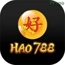hao788 - 5